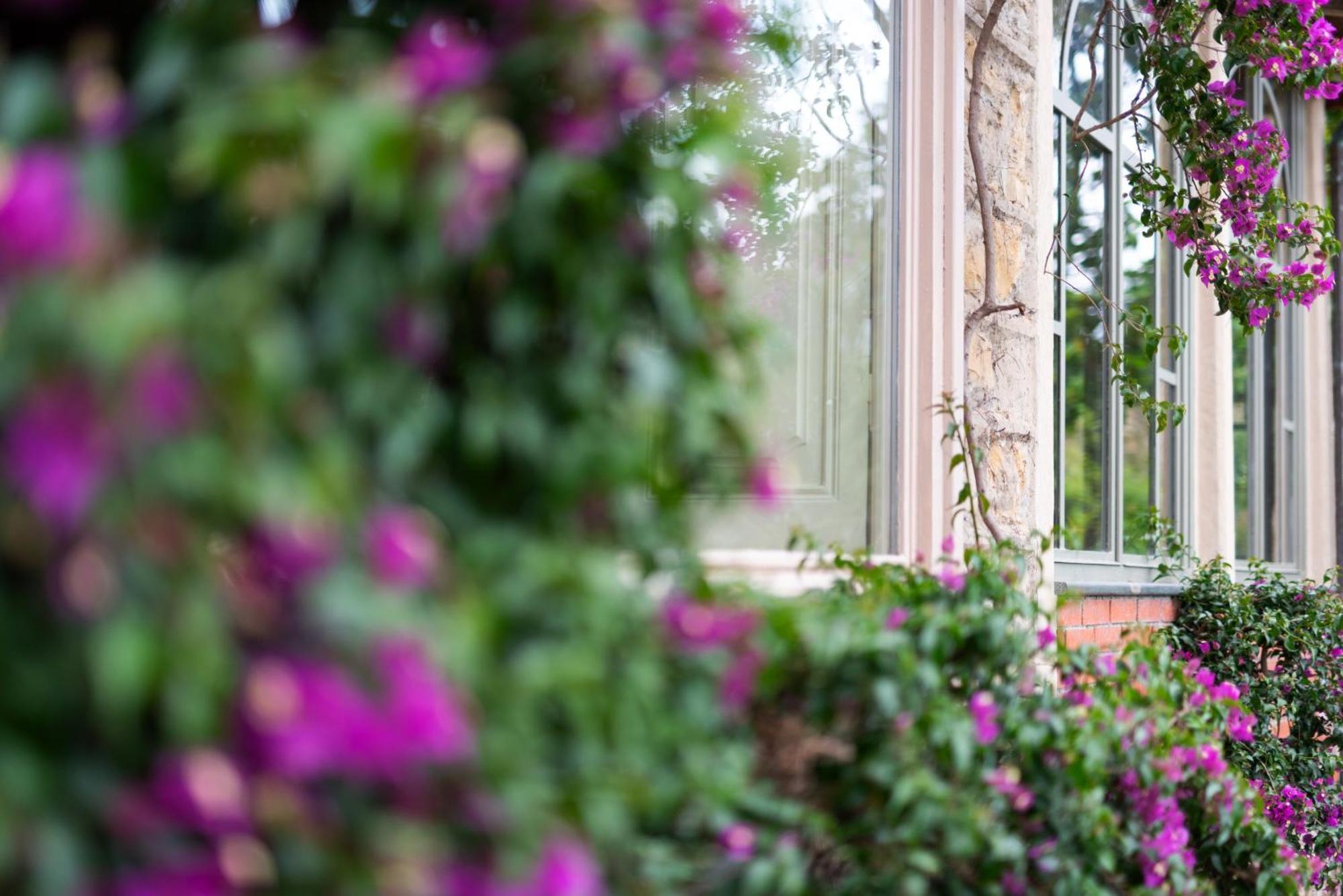 Villa Rappis インペリア エクステリア 写真